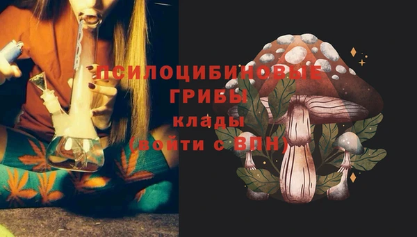ГАЛЛЮЦИНОГЕННЫЕ ГРИБЫ Абдулино