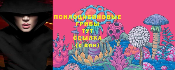 молекула духа Абинск