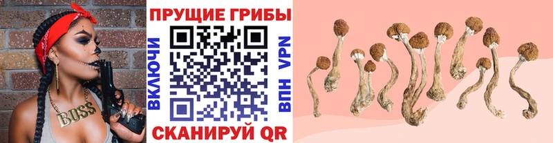 мега рабочий сайт  Хасавюрт  Псилоцибиновые грибы мухоморы 